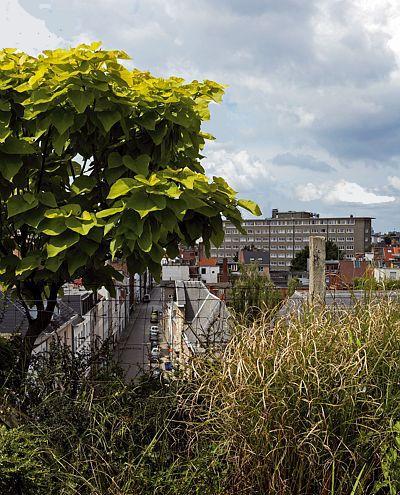 Ferme à Anvers Ferme à Anvers